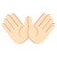 :open_hands_tone1: